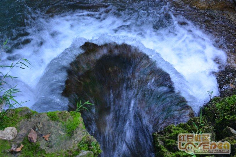 我国明确生物多样性保护“路线图”（新华社）