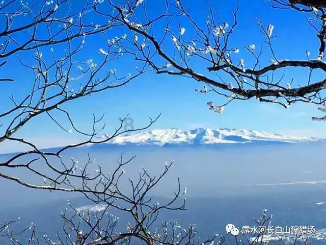 极限脱出九人游戏