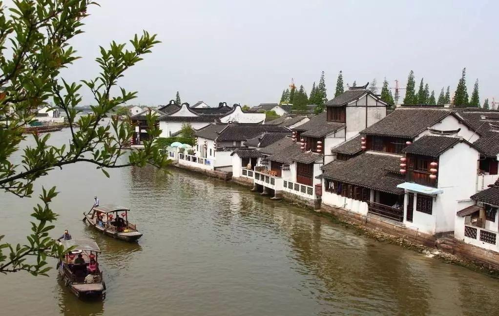救援可爱小松鼠